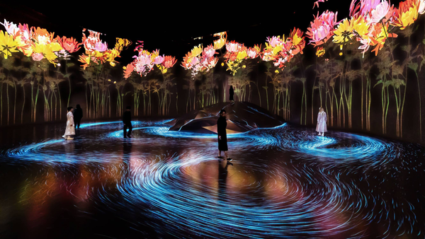 The Tokyo Digital Art Museum and the Future of Interactive Art